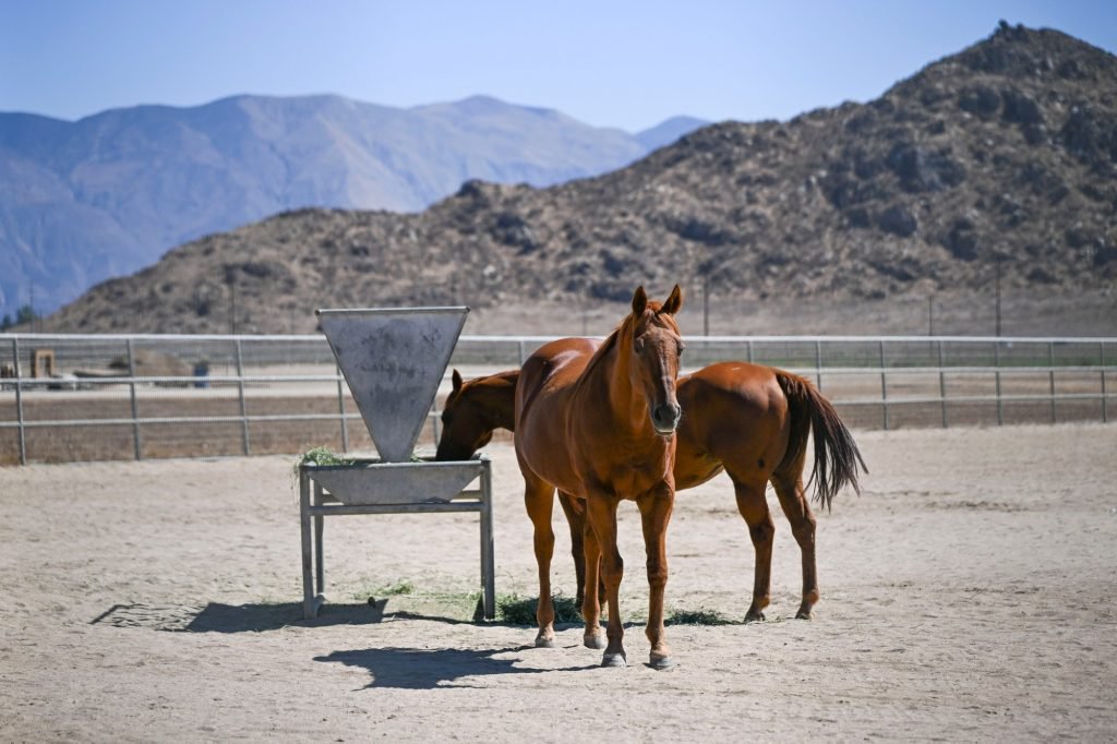 Federal Government Seizes Cartel Leader’s Hemet Ranch