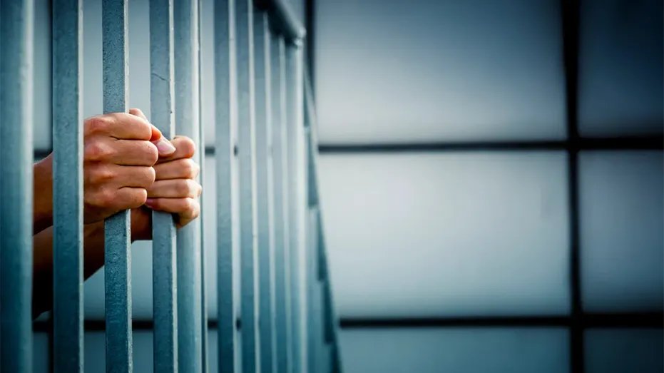 Chinese Nationals Smuggled Drugs Into US Prisons