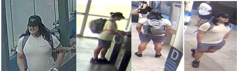 Man hunted woman on CTA train—who is he?