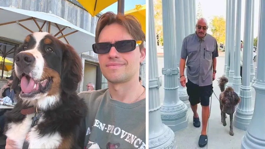 Dog dies at L.A. pet boarding facility