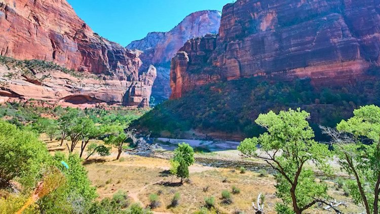 Trump Pauses Big Bend Construction for Review