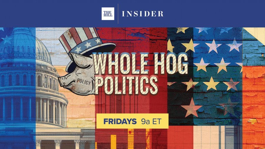 Bipartisan Data Center Backlash Reshapes Politics