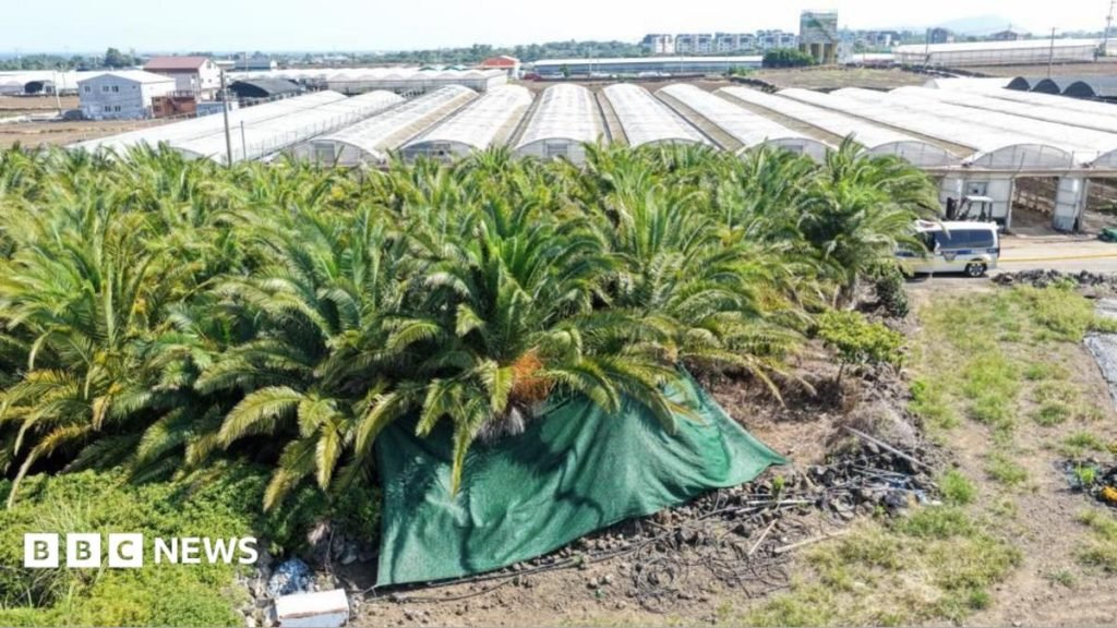 Police Sergeant Arrested Amid Jeju Island Missing Persons Scandal