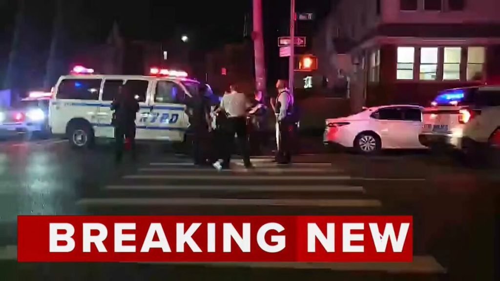 NYPD Officer Fires Shot During Brooklyn Carjacking