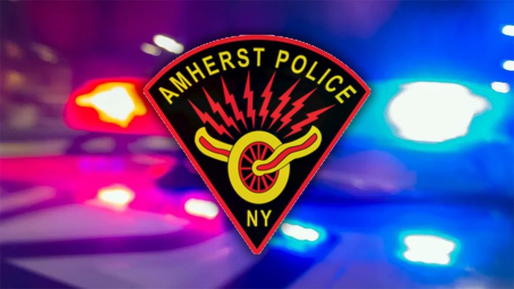 Man charged with damaging multiple cars at Amherst Tops