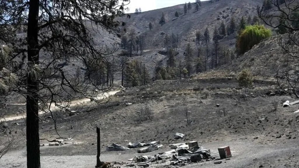 Firework stunt sparked deadly wildfire, killing 1