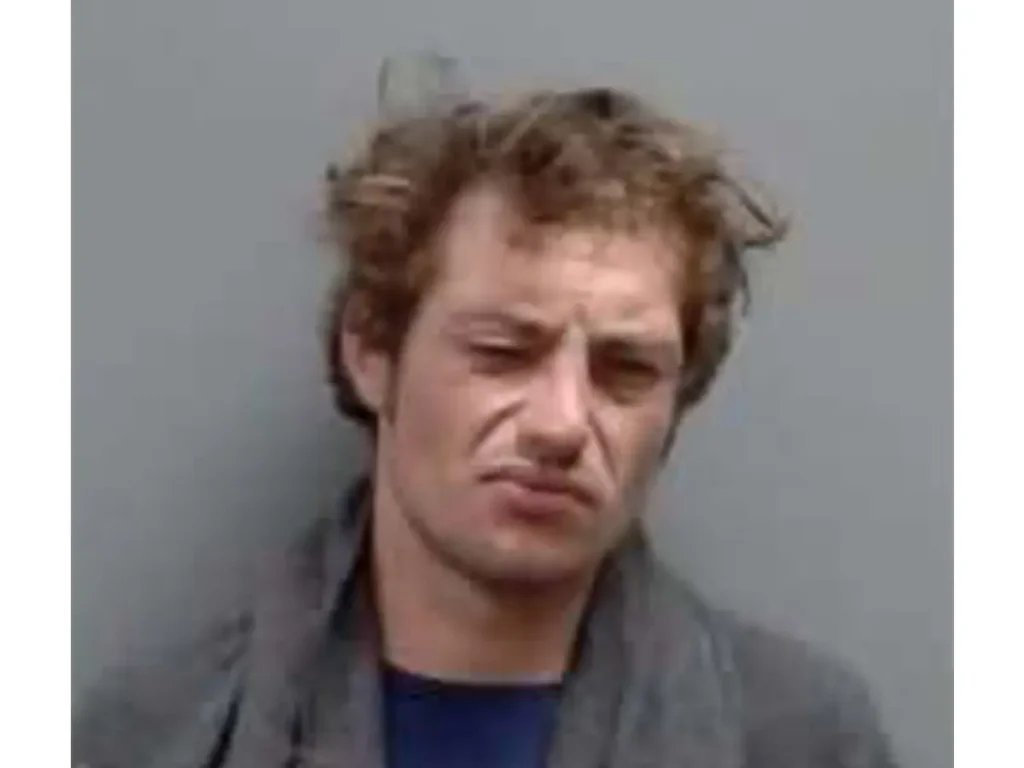 Felon Found With Stolen Gun While Lying in Grass