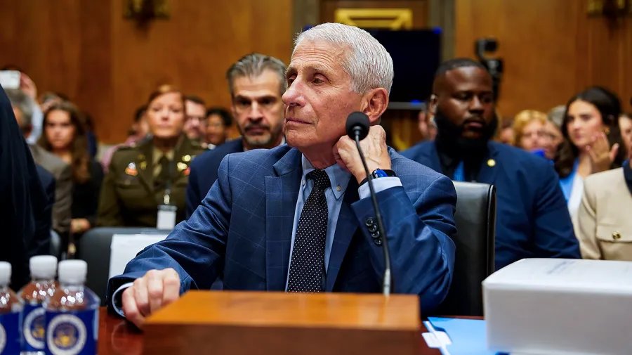 Fox Legal Expert: Senate Will Lose Fauci Contempt Fight