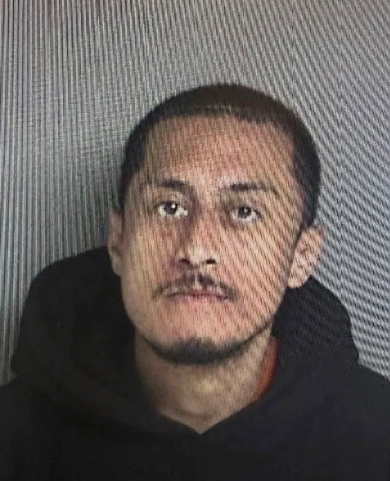 Mass stabber was already out on parole for knifing spree