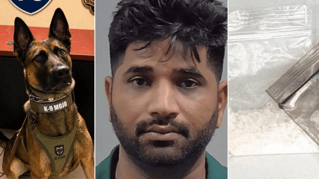 NY Truck Driver Caught With 25 Grams of Fentanyl
