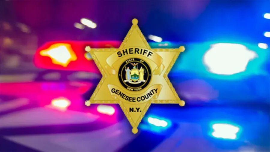 Child dies in go-kart rollover into pond