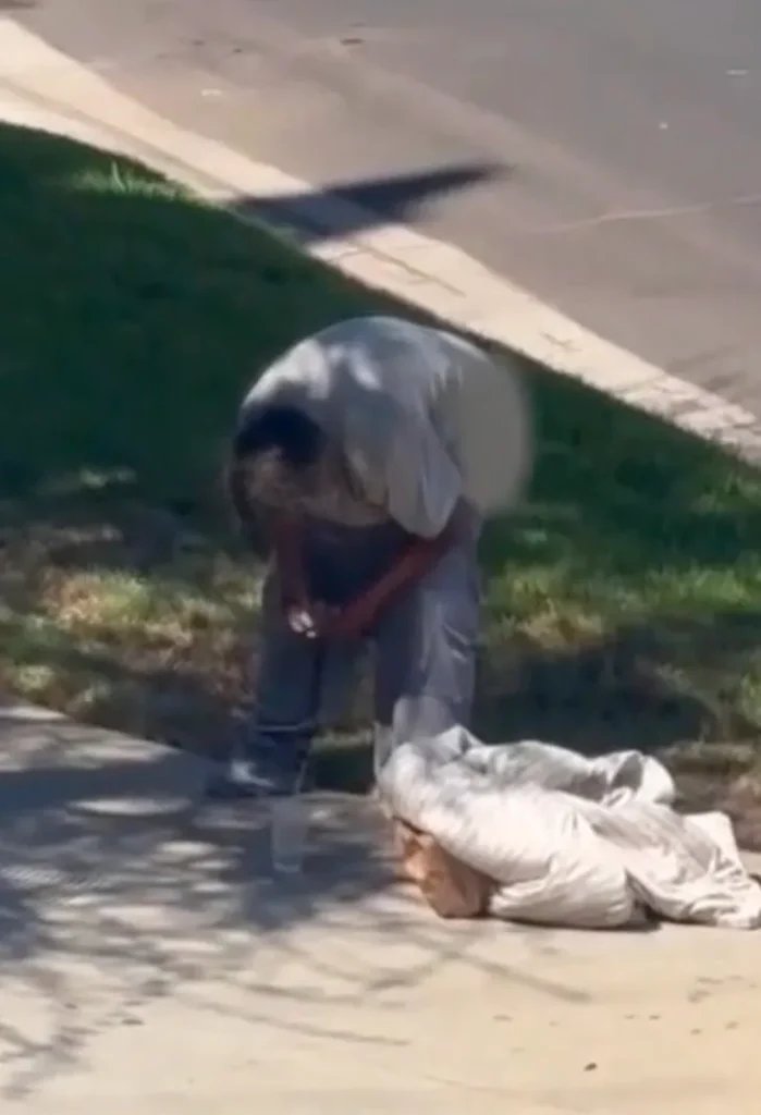 Serial pooper strikes LA neighborhood daily