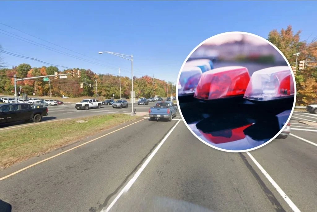 Ex-corrections officer faces 5 years for fatal hit-and-run