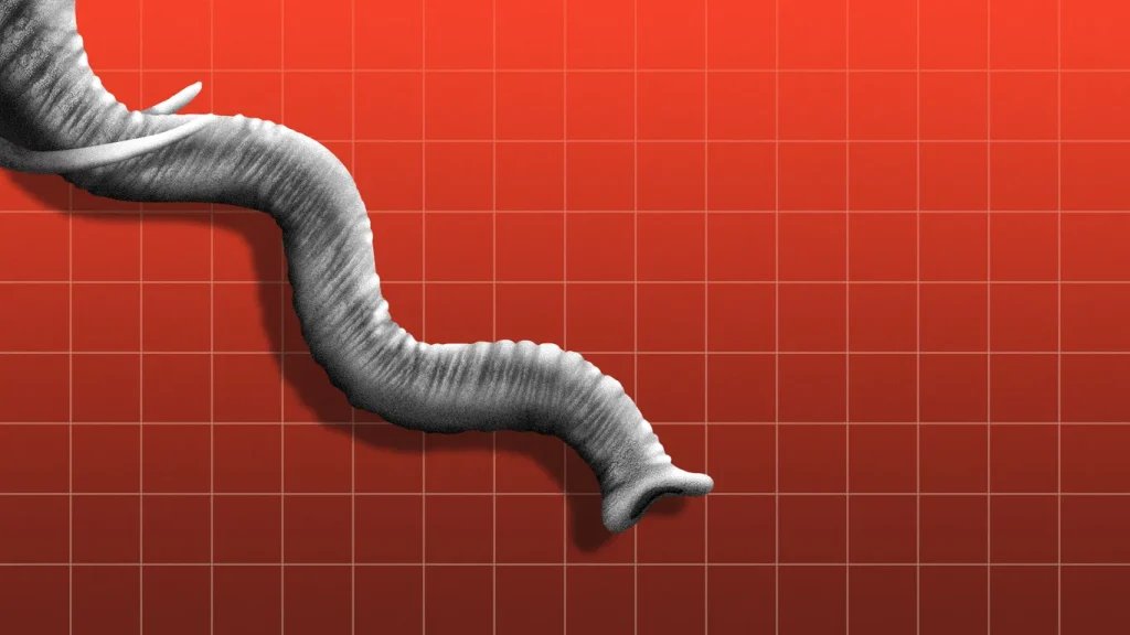 Republicans’ Faith in Trump Economy Hits Historic Low