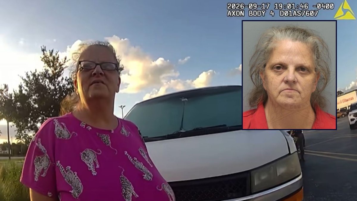 I hit her in the face': Woman chucked a glass jar of vegan mayonnaise at driver in road rage incident, cops say