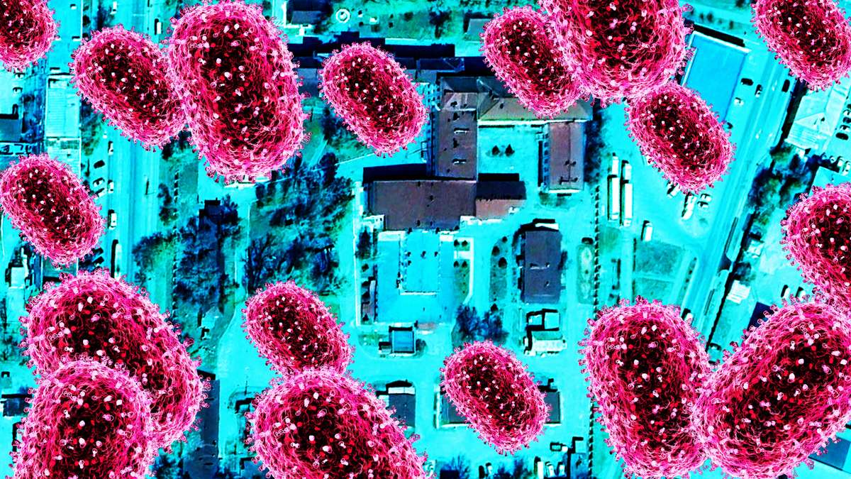 Trump Admin Drops Urgent Plague Warning