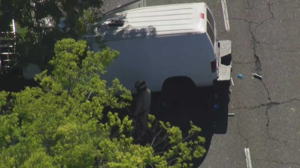 Man dies after van crashes into tree in Arden-Arcade