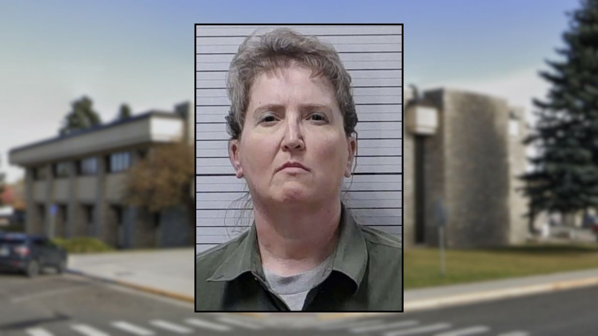 Works for me': Mother who allegedly plotted to have her daughter's boyfriend killed for getting her child addicted to drugs takes plea deal