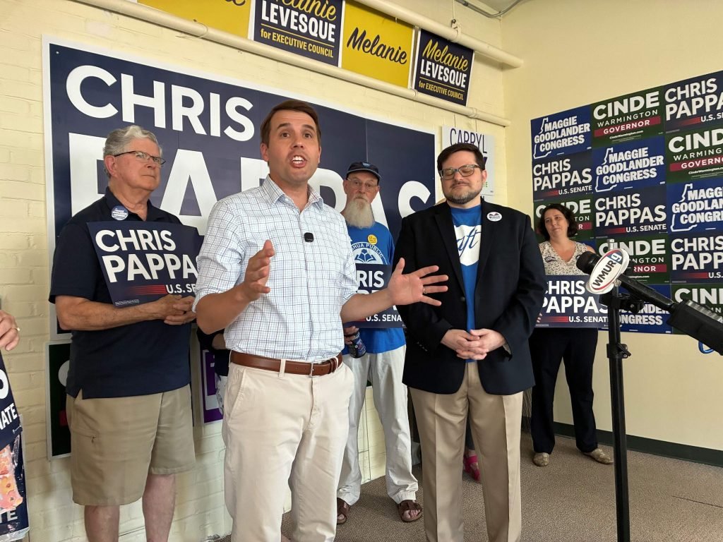 New Hampshire Senate Candidates Avoid Party Extremes