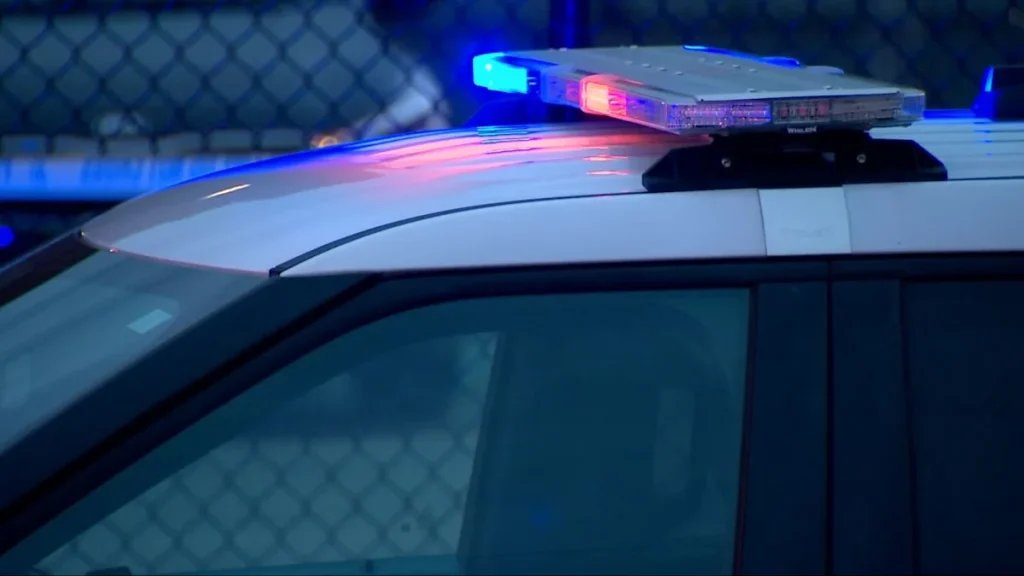 Woman charged after starving dog dies from neglect