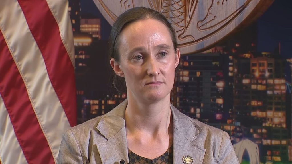 Bite of Seattle Shooting: What Went Wrong With Police Response?