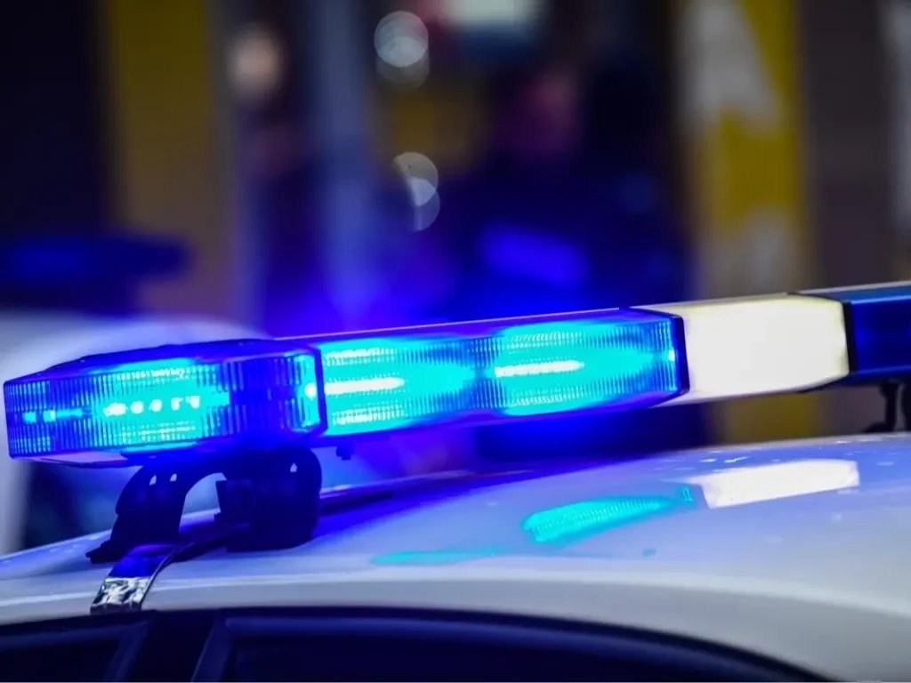 Son kills mother, shoots himself during arrest