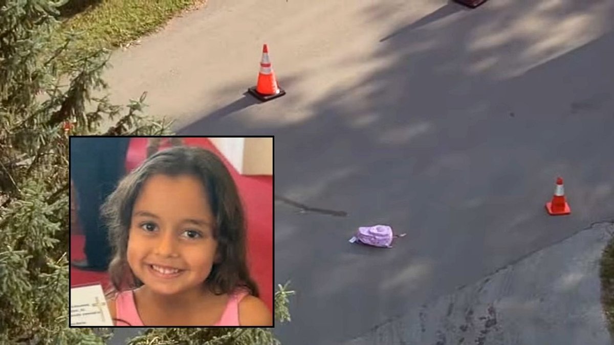 Little girl annihilated by school bus, crushed under tandem wheels while crossing in front of it to walk home after family was denied driveway drop-offs: Lawsuit