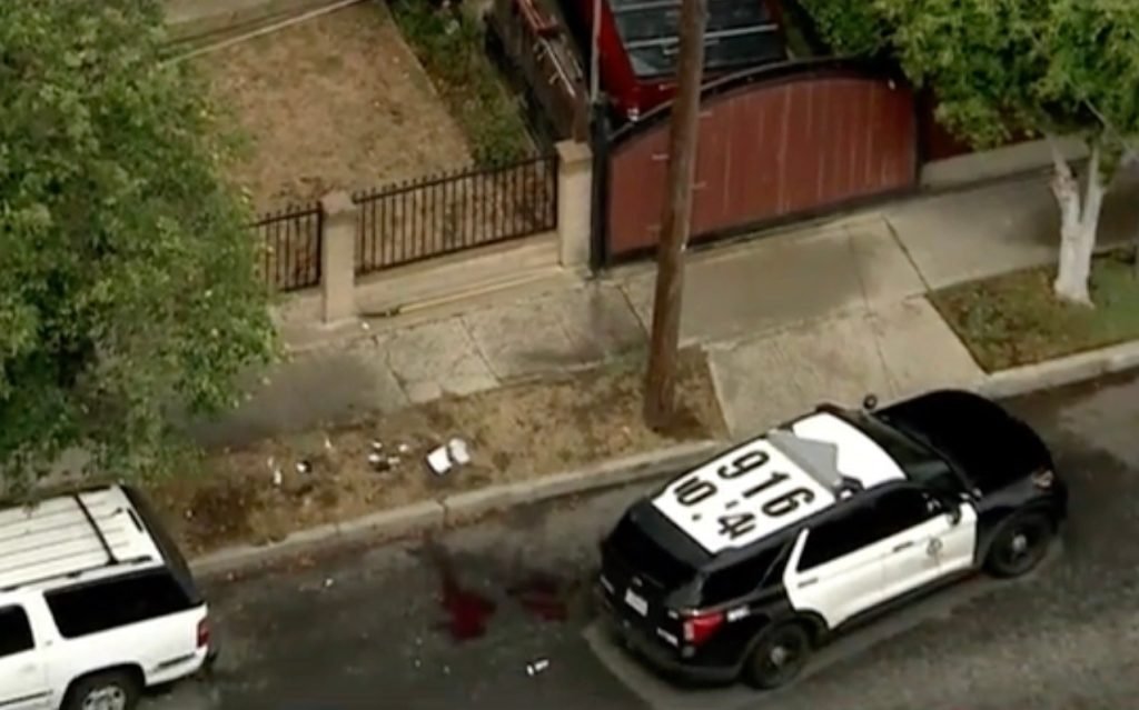 Man charged officers with tree trimmer, shot dead by LAPD