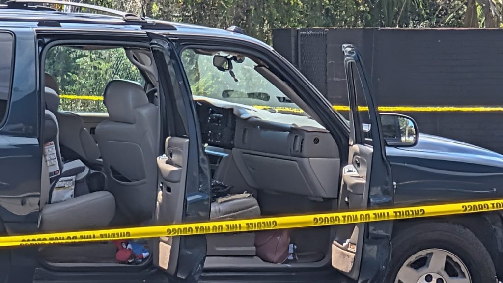 Carjacker Caught at Palm Coast Wendy’s After High-Speed Chase