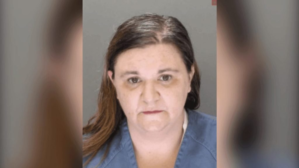 Woman Caught on Camera Stealing $8K in Credit Card Fraud