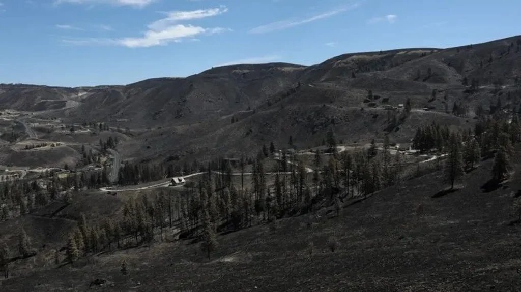 Illegal fireworks sparked deadly wildfire, 5 suspects still sought
