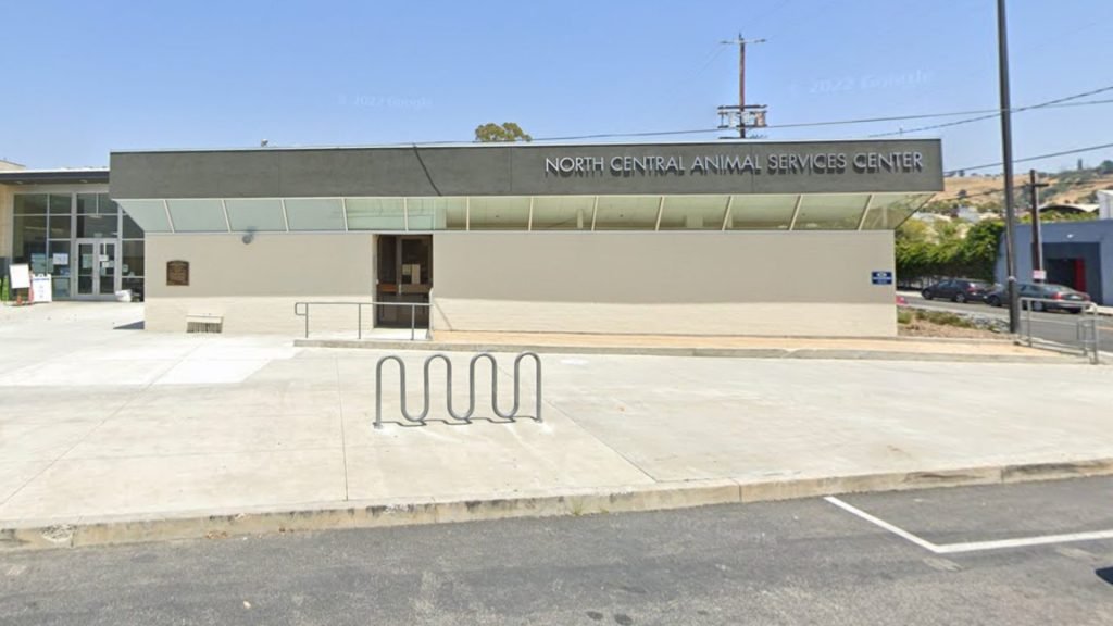 Man arrested after attacking animal shelter staff in LA