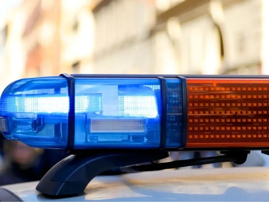 Family Dogs Attack Child, Grandparents in Michigan