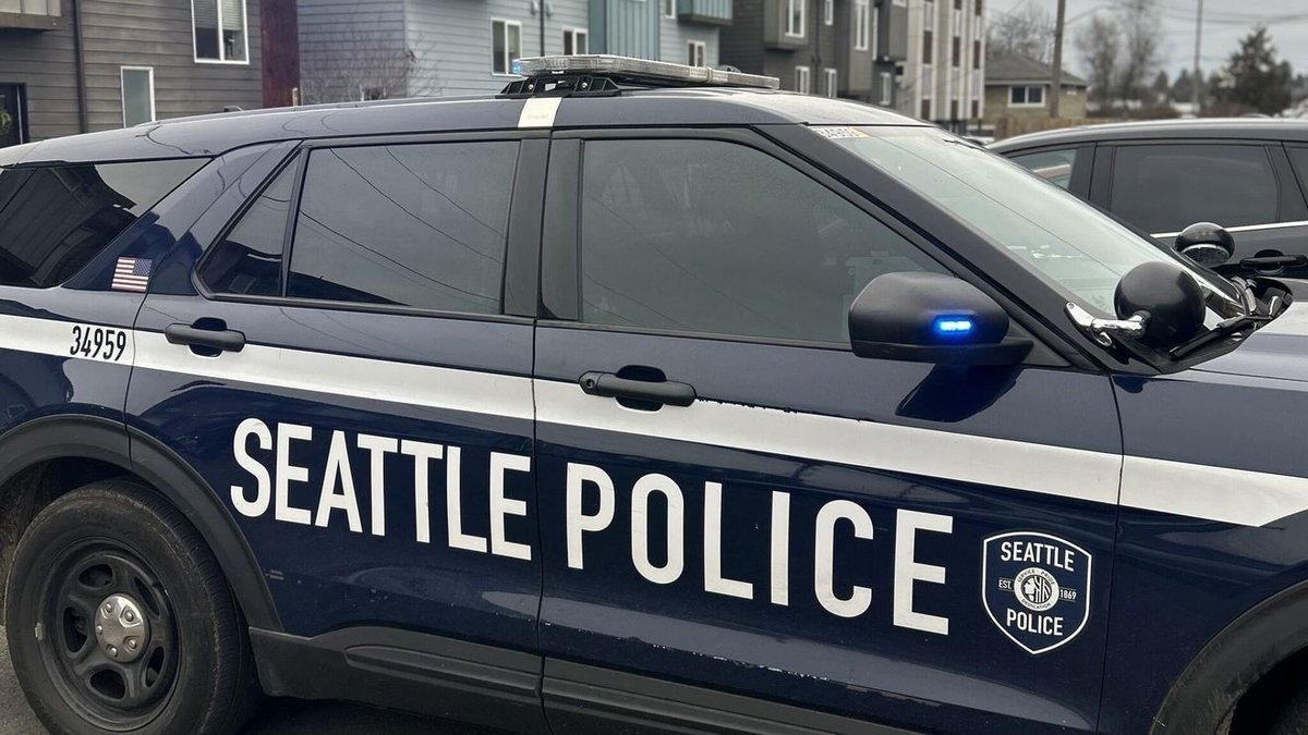 Mum found decapitated as son arrested in alleged domestic violence incident after horror night of violence against women