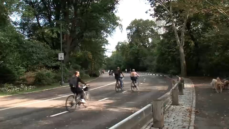 71-year-old man thrown from bike, killed after hitting dog in New York City's Central Park