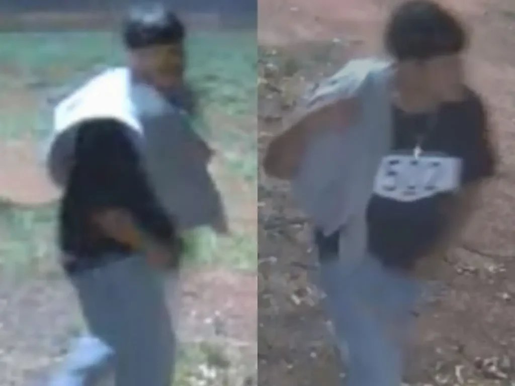 Man fires gun twice in Manassas, police seek ID