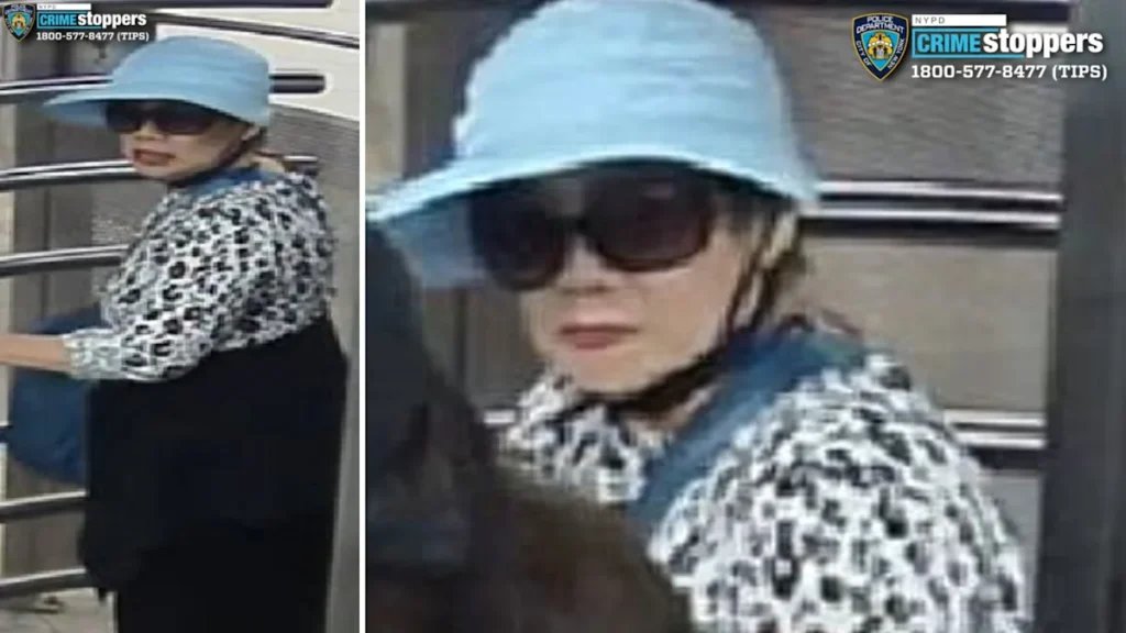 Woman tried to kidnap 6-year-old at NYC subway