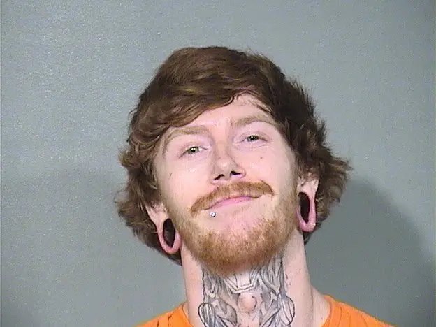 Man Gets 60 Days for Starving Dogs Found in Dark Home