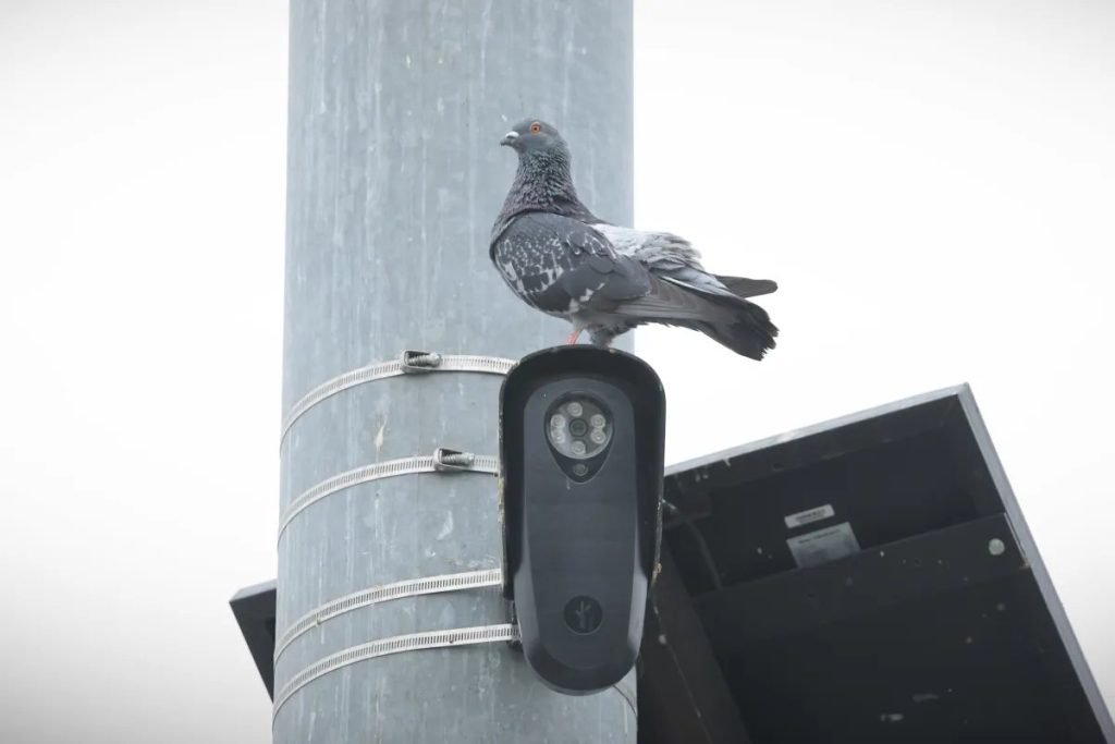 Privacy Concerns Prompt Florida and Texas to Halt Flock Camera Use