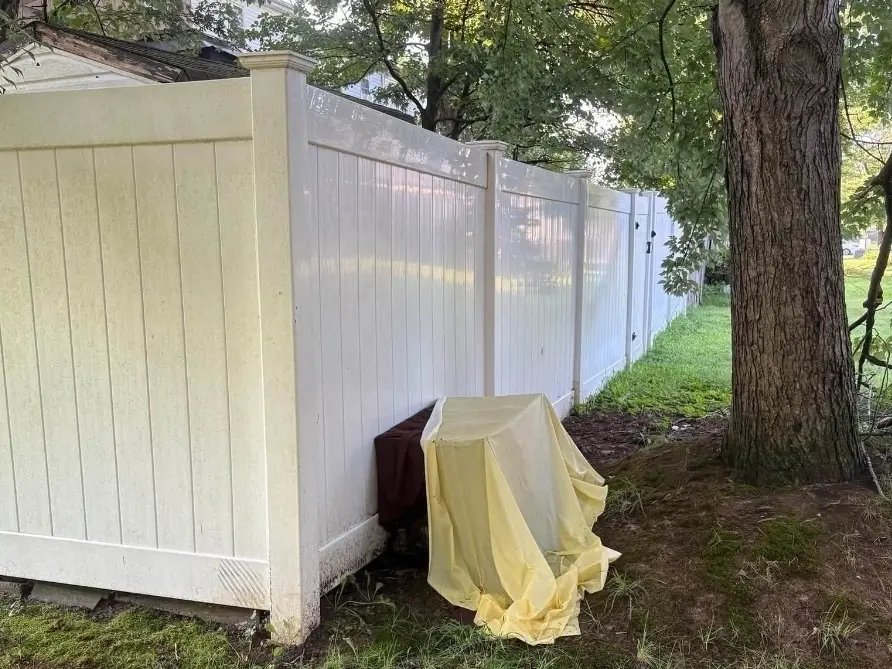 2 Dogs Found Dead in Crate—Who Left Them?