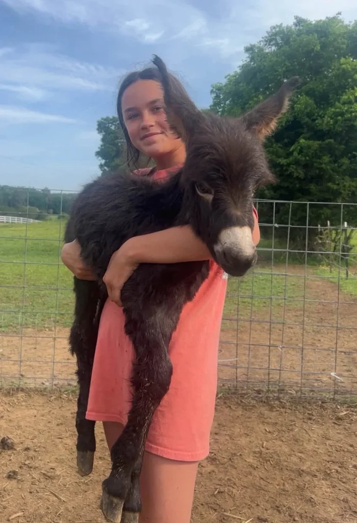 Georgia cop shoots pet donkey during missing girl search