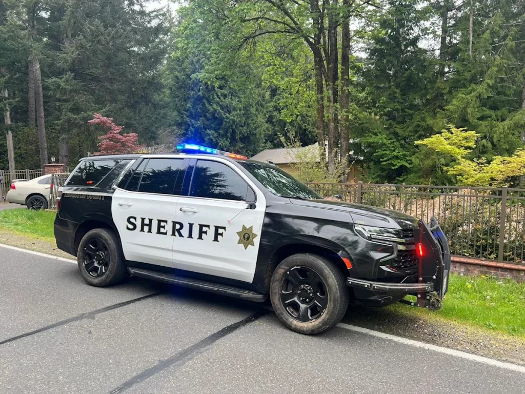 Man gave 3 fake names during traffic stop