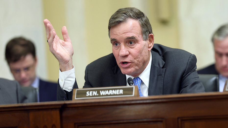 Republican Mizusawa Emerges to Challenge Warner