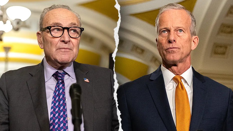 Schumer Backs GOP Shutdown Prevention Plan